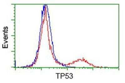 Flow Cytometry: p53 Antibody (OTI5E2) [NBP2-00723]