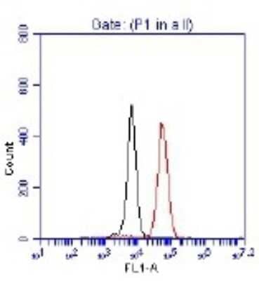 Flow Cytometry: p53 Antibody [NB200-171]