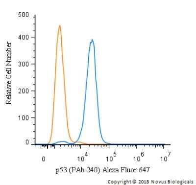 Flow Cytometry: p53 Antibody (PAb 240) - Azide and BSA Free [NBP2-80898]
