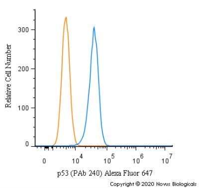 Flow Cytometry: p53 Antibody (PAb 240) - Azide and BSA Free [NBP2-80898]