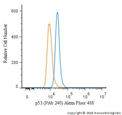 Flow Cytometry: p53 Antibody (PAb 240) - BSA Free [NB200-103]