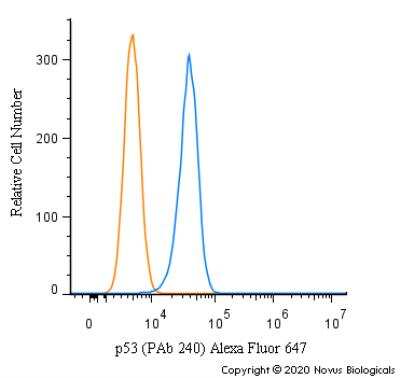 Flow Cytometry: p53 Antibody (PAb 240) - BSA Free [NB200-103]