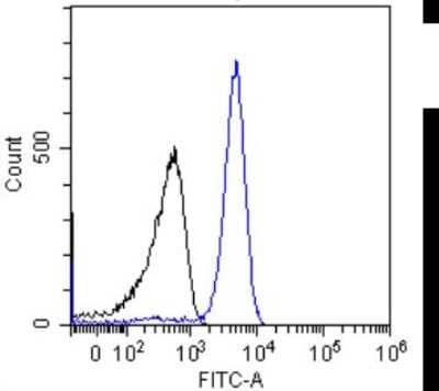 Flow Cytometry: p53 Antibody (PAb421) - Chimeric - Azide and BSA Free [NBP2-62555]
