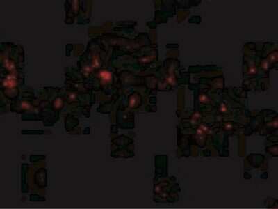 Immunocytochemistry/ Immunofluorescence: p53R2 Antibody - BSA Free [NBP1-76781]