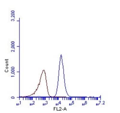 Flow Cytometry: p62/SQSTM1 Antibody (1478) [NBP2-43663]