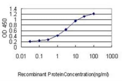 ELISA: p62/SQSTM1 Antibody (2C11) [H00008878-M01]