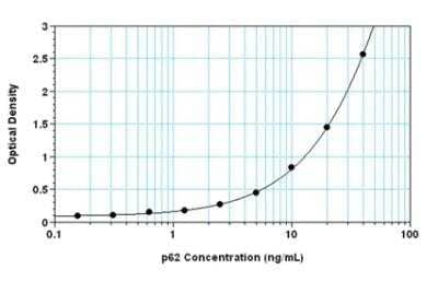 ELISA: Human, Mouse, Rat p62/SQSTM1 ELISA Kit (Colorimetric) [NBP2-61300]