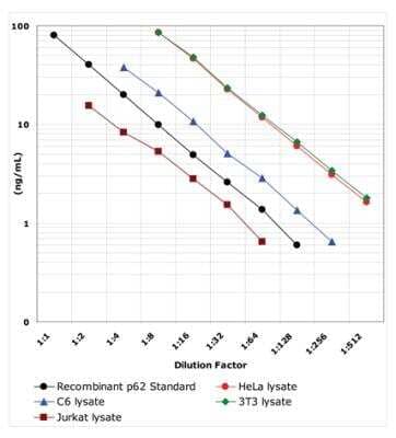 ELISA: Human, Mouse, Rat p62/SQSTM1 ELISA Kit (Colorimetric) [NBP2-61300]