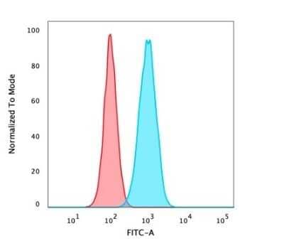 Flow Cytometry: p63/TP73L Antibody (TP40/3980R) - Azide and BSA Free [NBP3-08775]