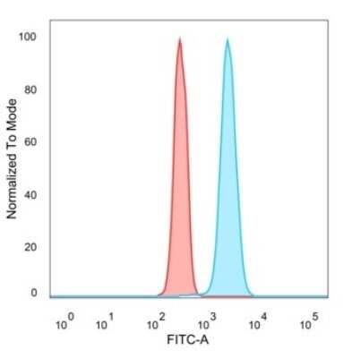 Flow Cytometry: p63/TP73L Antibody (TP63/2428) [NBP3-07443]