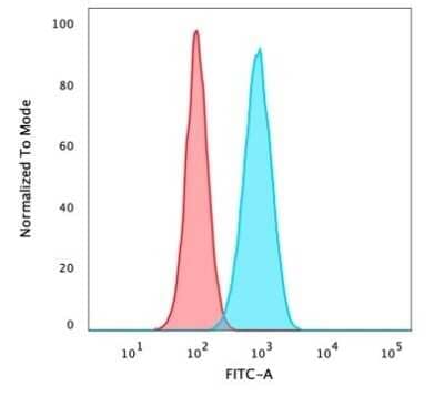 Flow Cytometry: p63/TP73L Antibody (ZR8) - Azide and BSA Free [NBP3-08776]