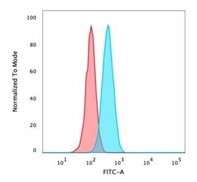 Flow Cytometry: p63/TP73L Antibody (rTP40/3690) - Azide and BSA Free [NBP3-08660]