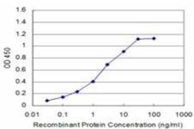 ELISA: p70 S6 Kinase/S6K Antibody (4H4) [H00006198-M04]