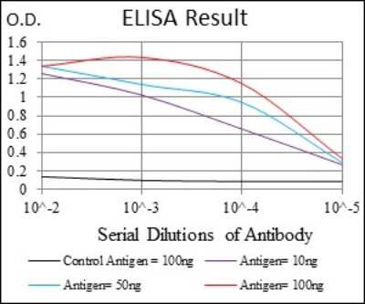 ELISA: p70 S6 Kinase/S6K Antibody (5G9) - BSA Free [NBP2-22205]