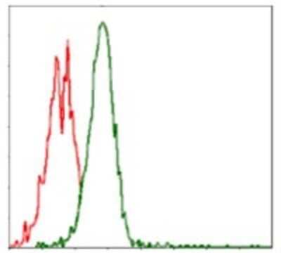 Flow Cytometry: p70 S6 Kinase/S6K Antibody (5G9) - BSA Free [NBP2-22205]