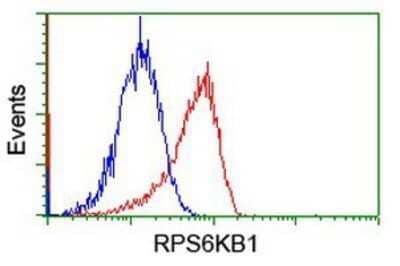 Flow Cytometry: p70 S6 Kinase/S6K Antibody (OTI1G4) - Azide and BSA Free [NBP2-73209]