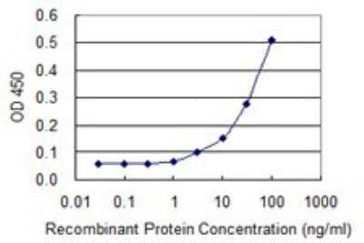 ELISA: p97/VCP Antibody (4A8) [H00007415-M03]