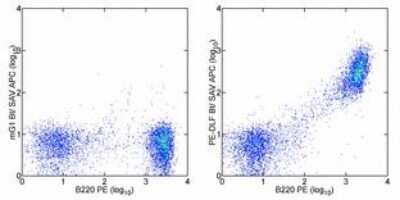 Flow Cytometry: phycoerythrin Antibody (PE-DLF) - BSA Free [NBP2-00146]