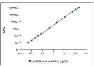 ELISA: NT-proBNP Antibody (13G12cc) [NB120-14712]