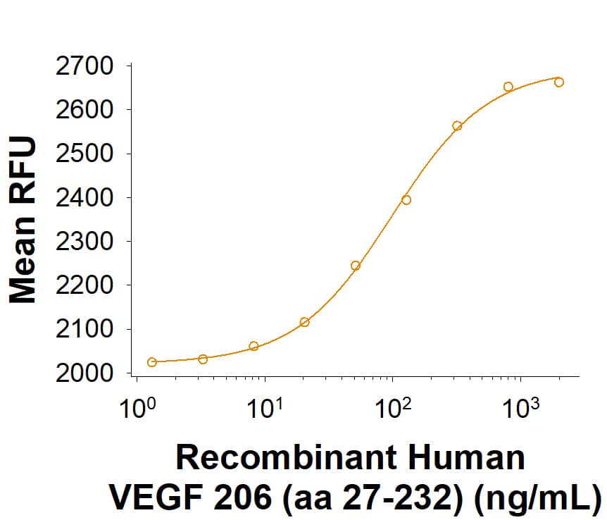 Recombinant Human VEGF 206 (aa 27-232) Protein Bioactivity