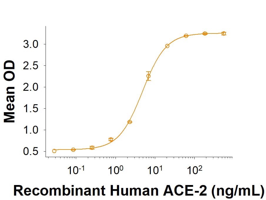 Recombinant SARS-CoV-2 Spike RBD Fc Chimera Protein Binding Activity
