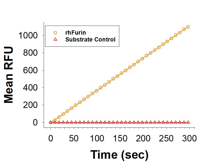 Recombinant Human Furin Protein Enzyme Activity