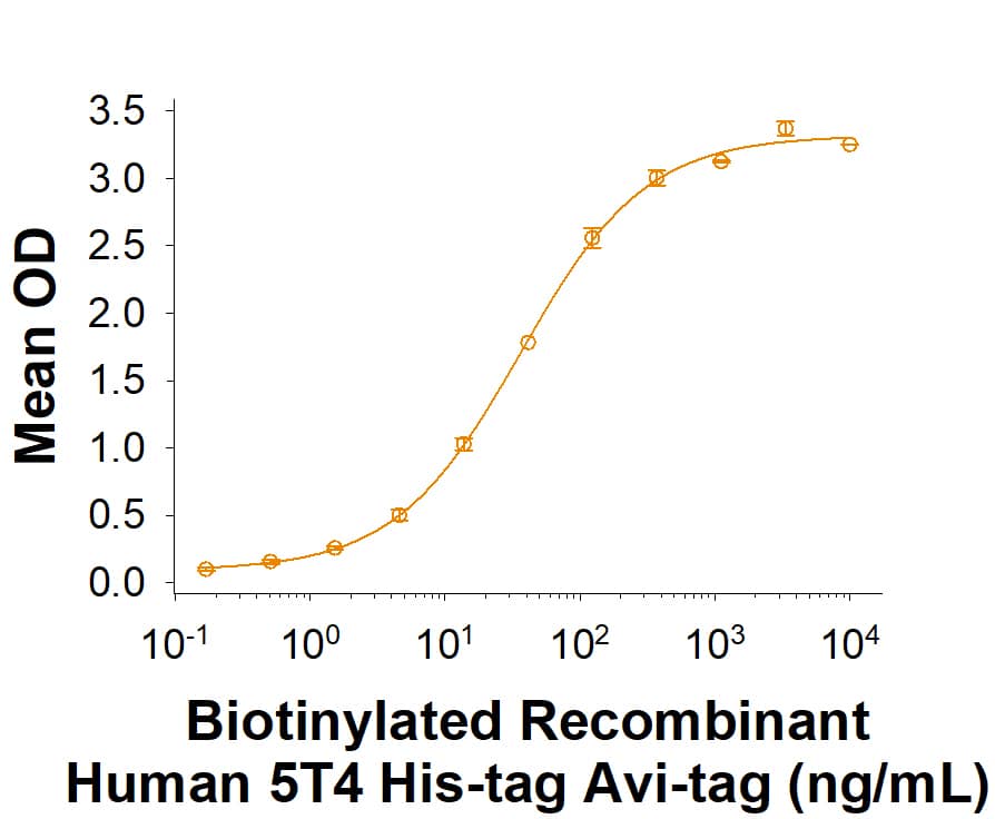 Recombinant Human 5T4 His-tag Avi-tag Protein Binding Activity