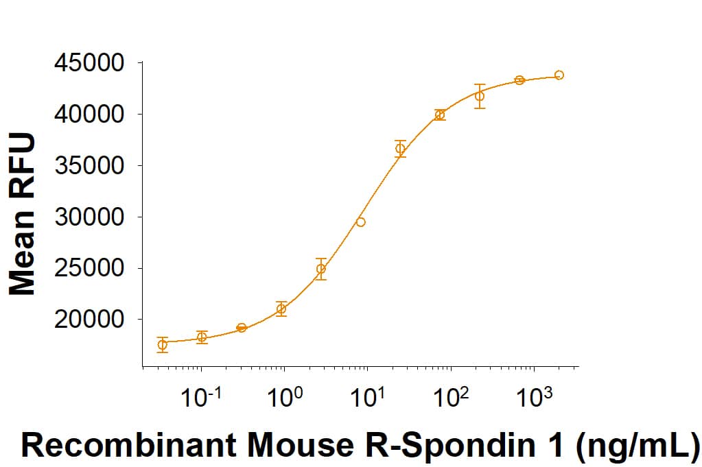 Recombinant Mouse R-Spondin 1 (CHO-expressed) Protein Bioactivity