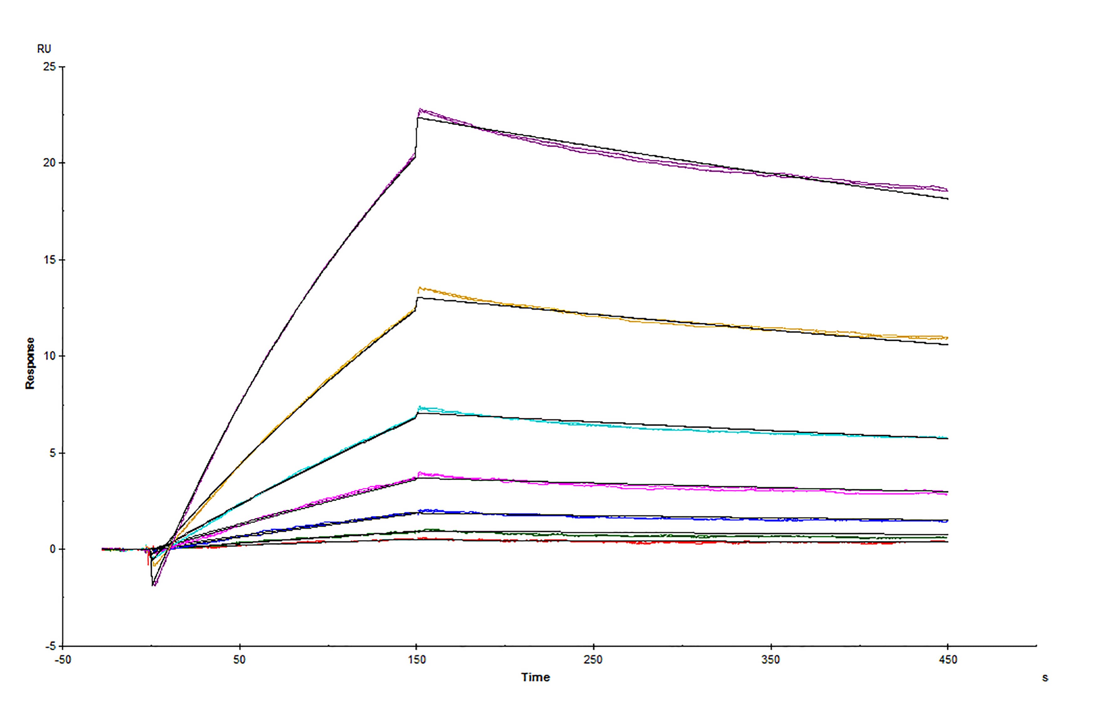 SPR Sensorgram of Human ACE-2 binding to SARS-CoV-2 Spike RBD protein