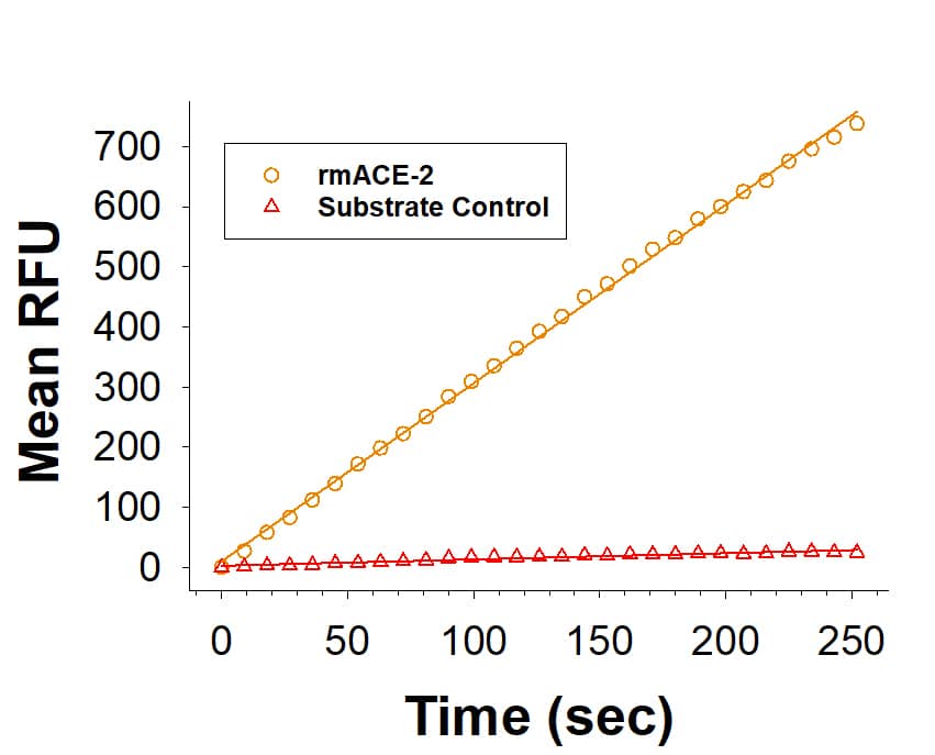 Recombinant Mouse ACE-2 Protein Enzyme Activity