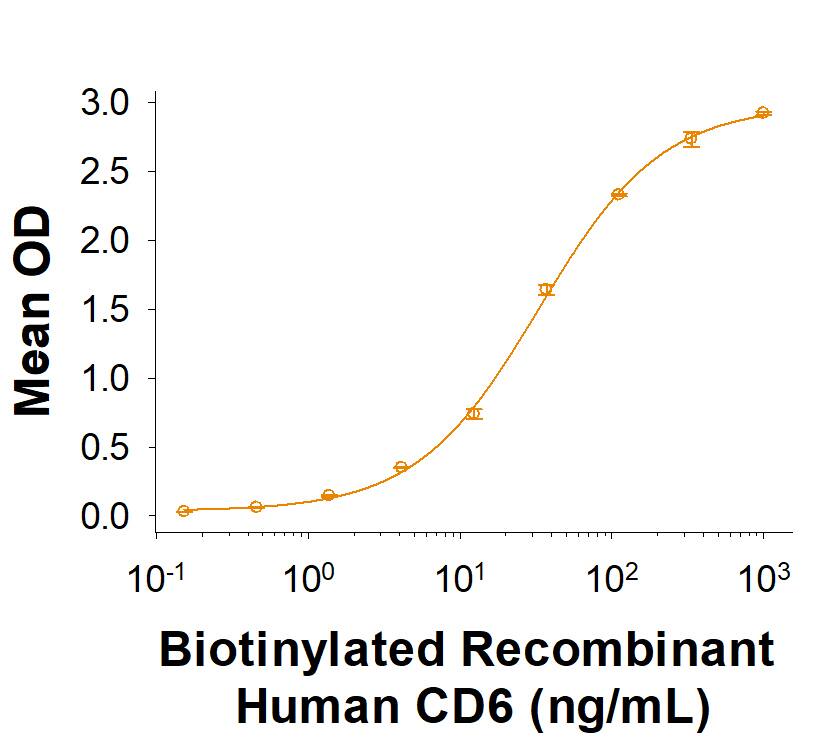 Recombinant Cynomolgus ALCAM/CD166 Fc Chimera Protein Binding Activity