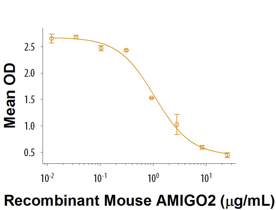 Recombinant Mouse AMIGO2 Fc Chimera Protein Bioactivity