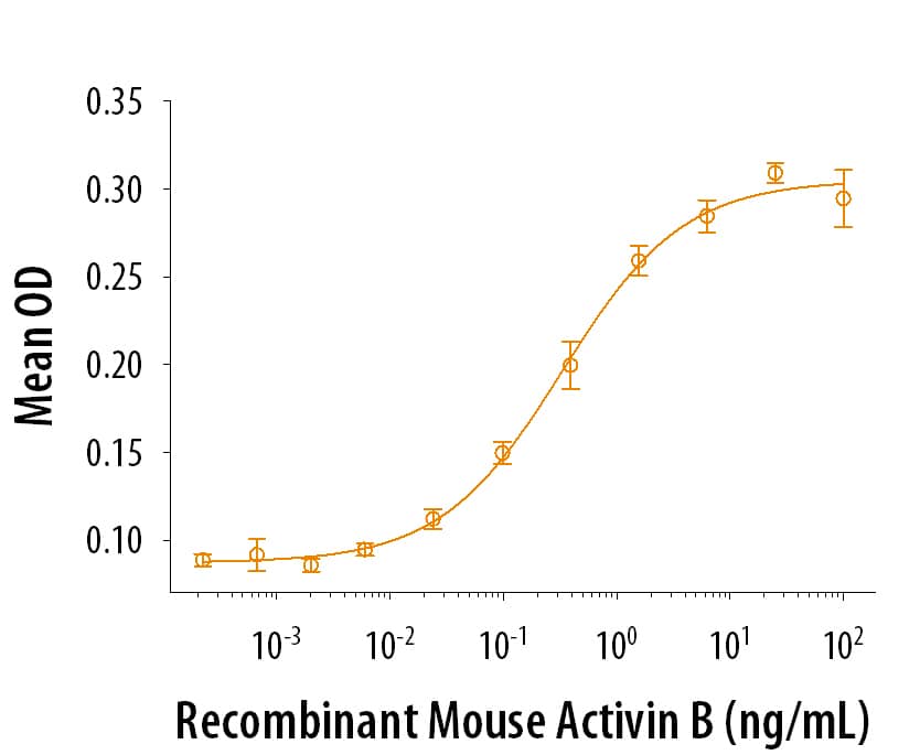 Recombinant Mouse Activin B Protein Bioactivity