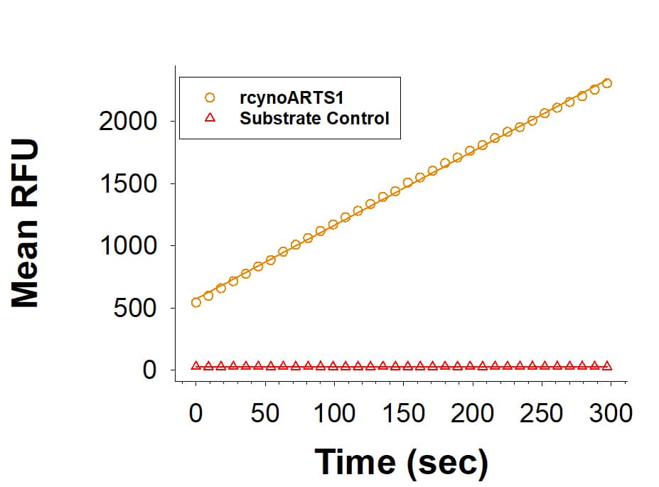 Recombinant Cynomolgus Aminopeptidase PILS/ARTS1 Protein Enzyme Activity