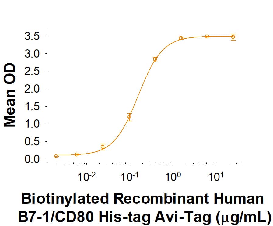 Recombinant Human B7-1/CD80 His-tag Avi-tag Protein Binding Activity