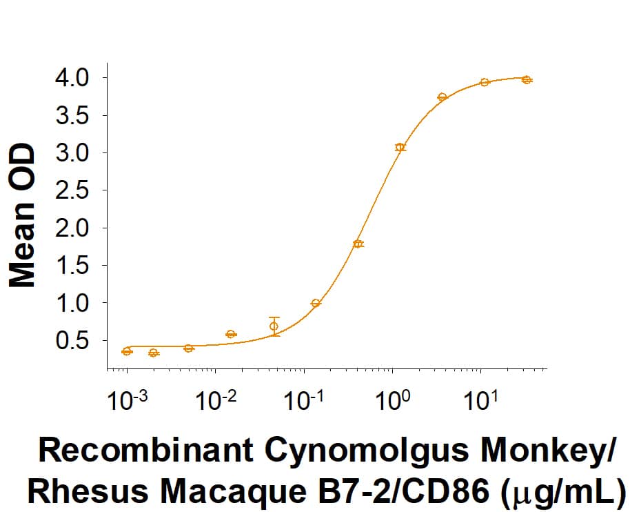 Recombinant Cynomolgus/Rhesus Macaque B7-2/CD86 Protein Binding Activity