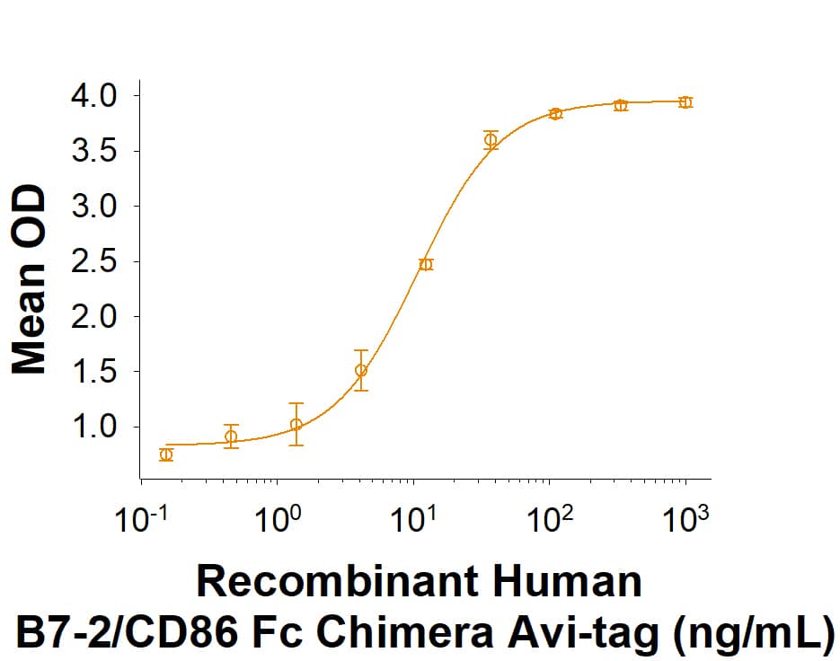 Recombinant Human B7-2/CD86 Fc Chimera Avi-tag Binding Activity