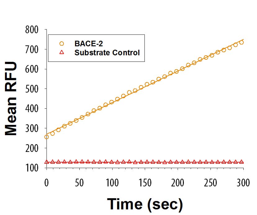 Recombinant Human BACE-2 Protein Enzyme Activity