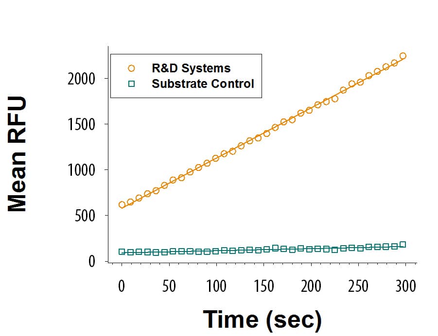 Recombinant Human BCAT1 Protein Enzyme Activity