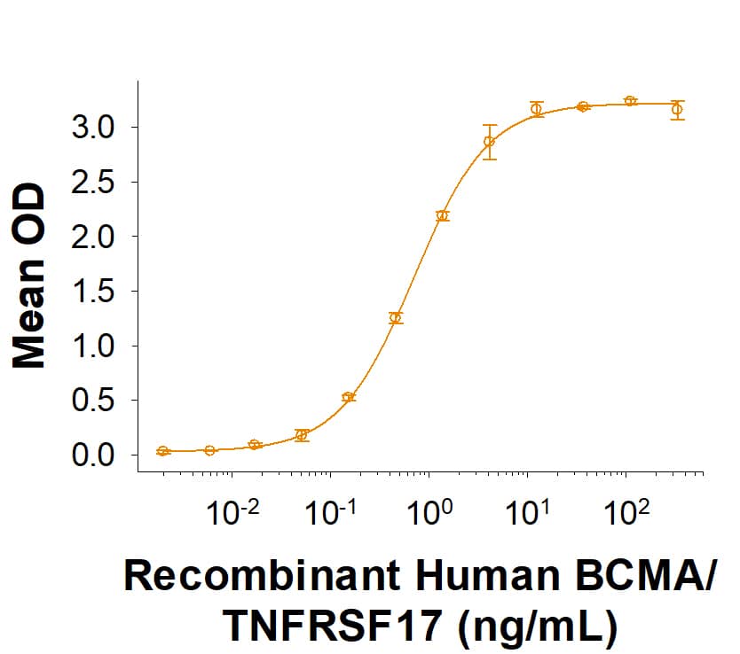 Recombinant Human BCMA/TNFRSF17 Fc Avi-tag Protein Binding Activity