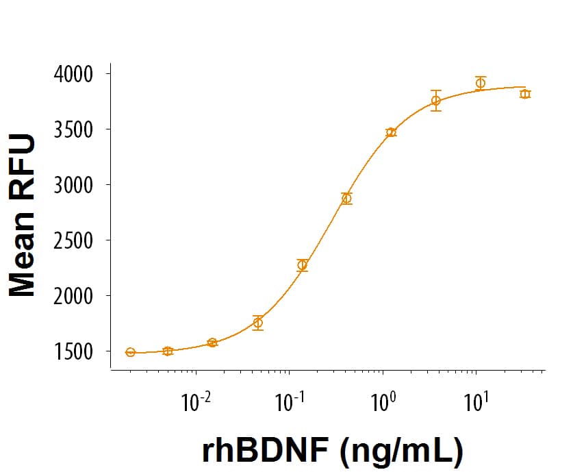 Recombinant Human BDNF GMP Bioactivity