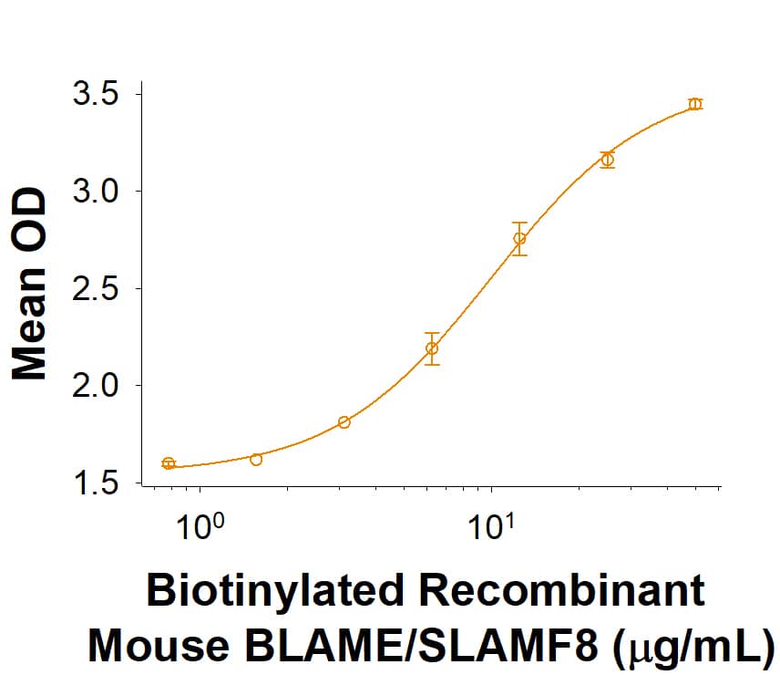 Recombinant Mouse BLAME/SLAMF8 Fc Chimera Protein Binding Activity