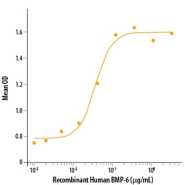 Recombinant Human BMP-6 Protein Bioactivity