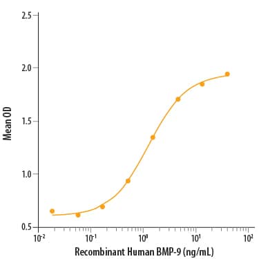 Recombinant Human BMP-9 Protein Bioactivity