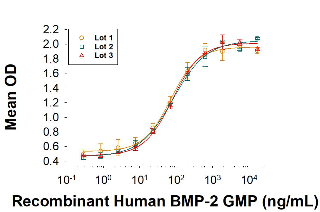 Recombinant Human BMP-2 GMP Protein Bioactivity