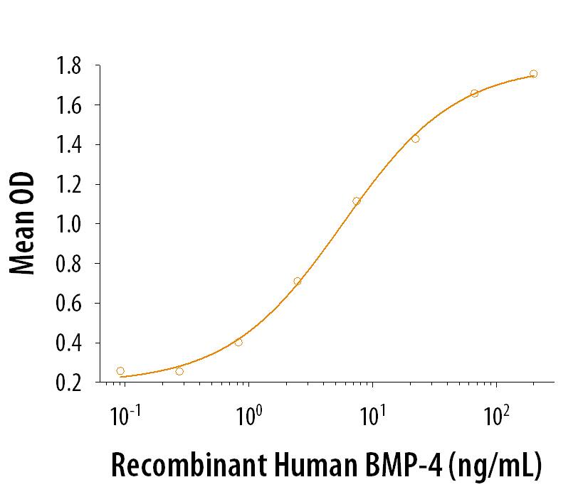 ProDots Recombinant Human BMP-4 Protein Bioactivity