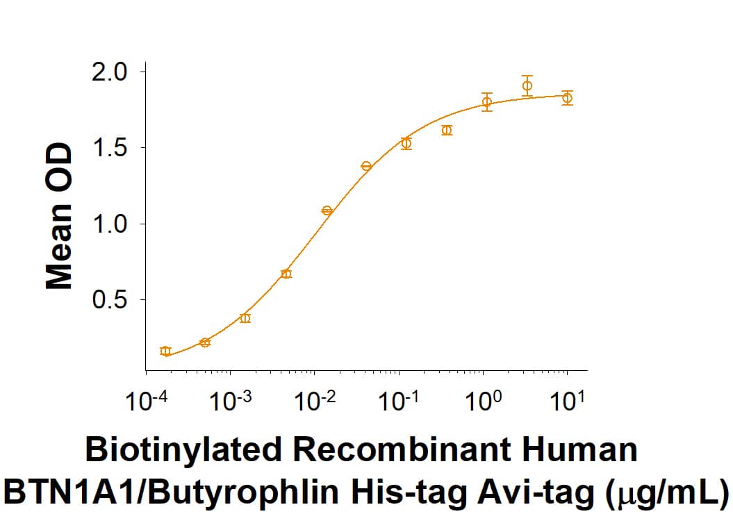 Recombinant Human BTN1A1/Butyrophilin His Avi Protein Binding Activity