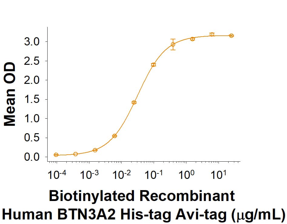 Recombinant Human BTN3A2 His-tag Avi-tag Protein Binding Activity