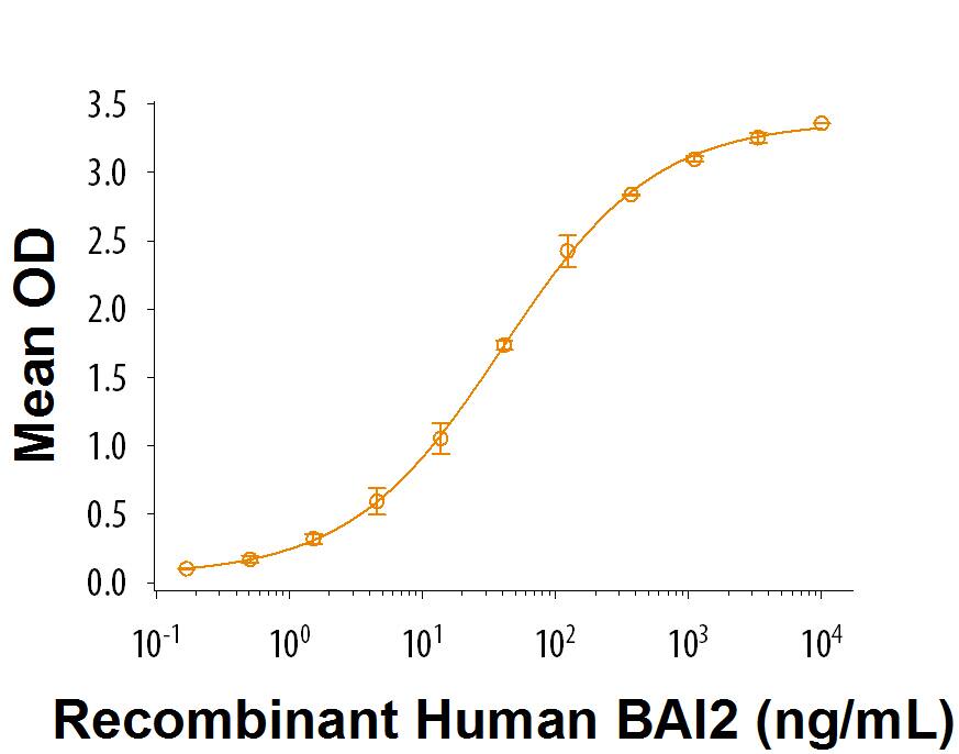 Recombinant Human C1qL3 Protein Bioactivity