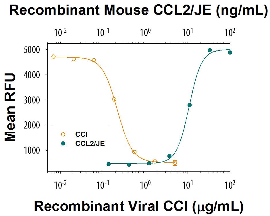 Recombinant Viral CCI Fc Chimera Protein Bioactivity